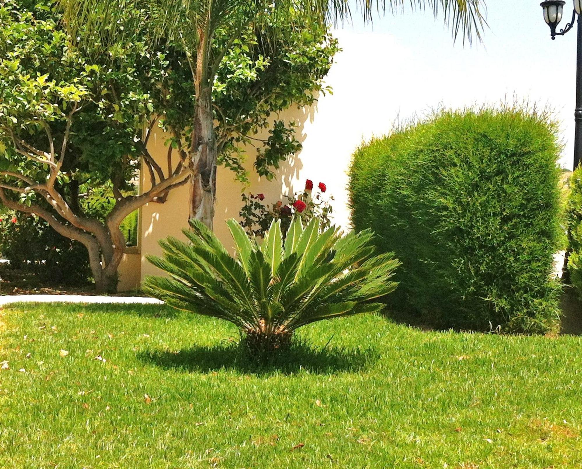 Himonas Apartments Pissouri Exterior foto