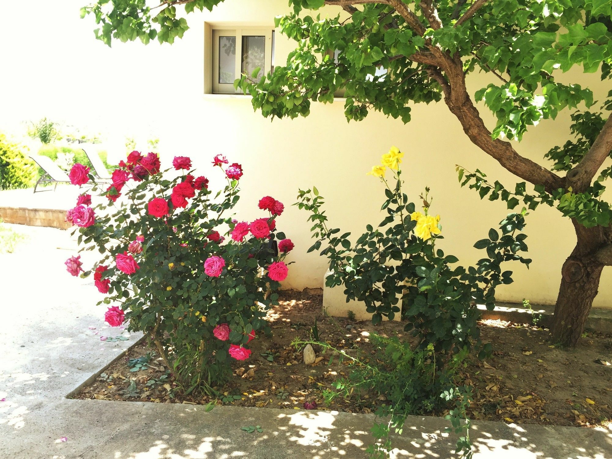 Himonas Apartments Pissouri Exterior foto